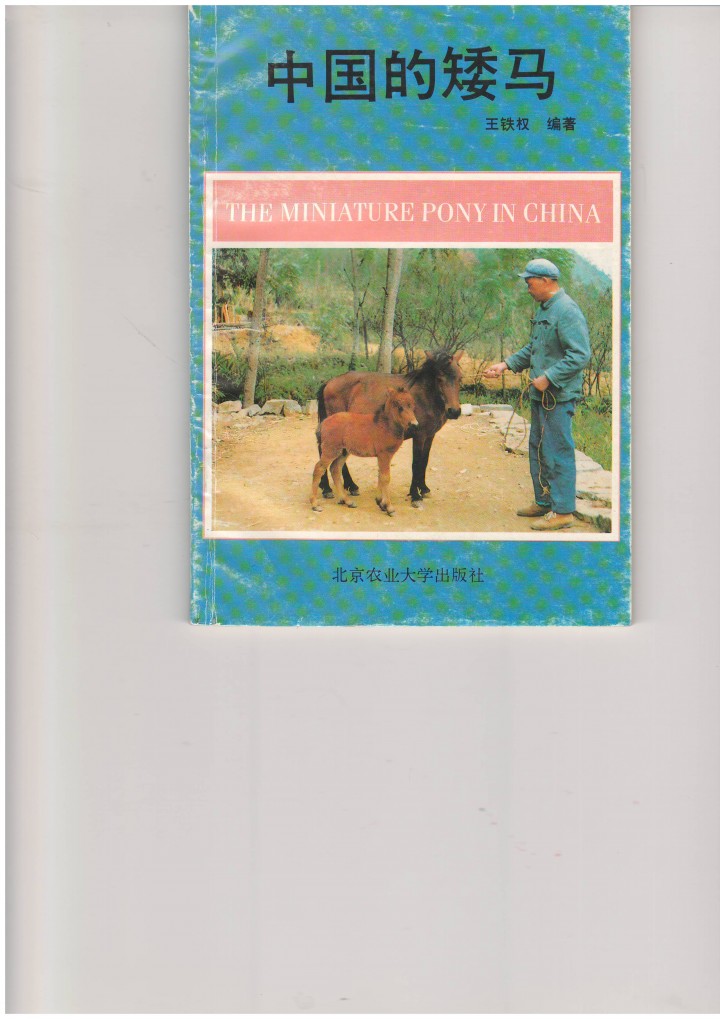 王铁权 中国的矮马.JPG