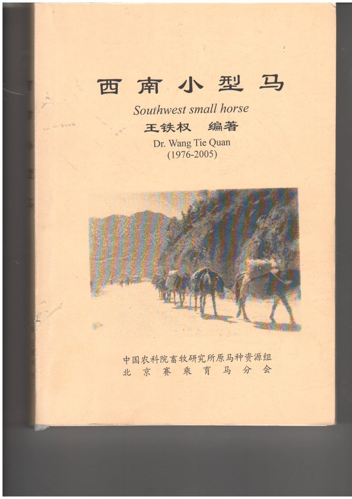 王铁权 西南小型马.JPG